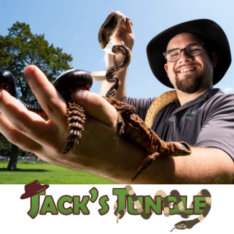 Jackson Baugus smiles as he holds assorted lizards and snakes on his outstretched hand with the words Jack's Jungle intertwined with a python underneath.
