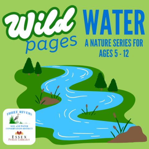 stream winding through marshes with trees along its banks and the text Wild Pages: Water A Nature Program for ages 5-12 and the Three Rivers Soil and Water Conservation District logo of a blue heron in a march and Essex Public Library with its open book