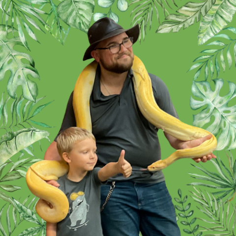 Man and small child with a yellow ball python draped over their shoulders and the snake flickering its tongue close to the child's outstretched thumb's up.