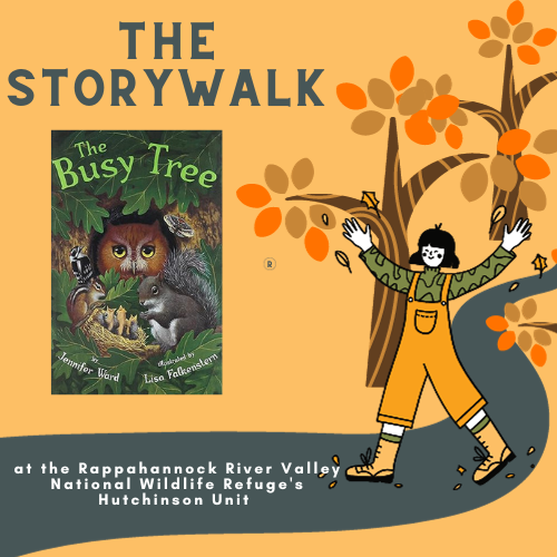 Girl walking on a path through autumnal trees up to The Busy Tree book cover